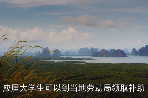 應屆大學生可以到當地勞動局領取補助