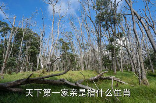 石榴籽一家親，天下第一家親是指什么生肖