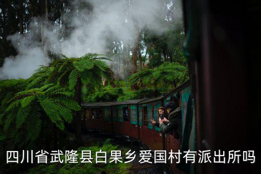 愛國村，請問誰知道長春市的愛國村在哪