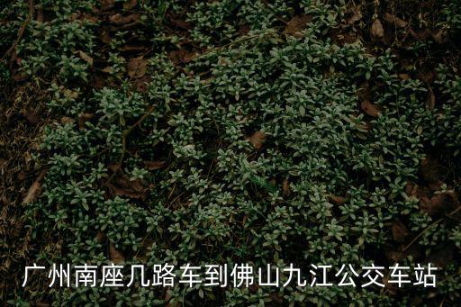 佛山九江，廣東佛山在九江的什么方位
