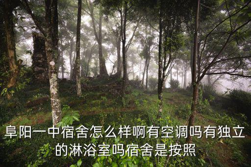 阜陽一中宿舍怎么樣啊有空調(diào)嗎有獨立的淋浴室嗎宿舍是按照