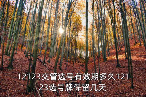 12123交管選號有效期多久12123選號牌保留幾天