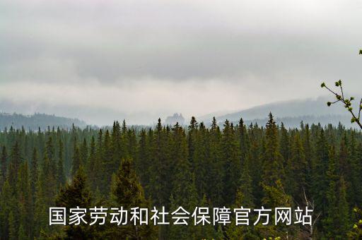 國家勞動和社會保障官方網站