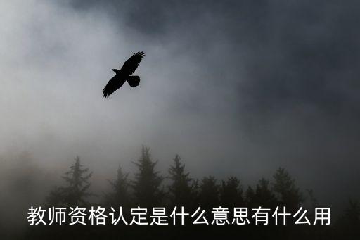 教師資格認定是什么意思有什么用