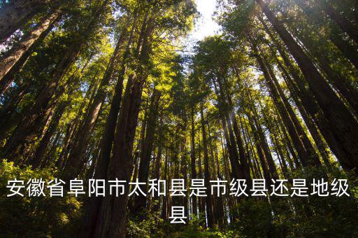 安徽省阜陽市太和縣是市級縣還是地級縣