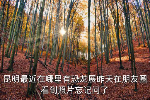 昆明最近在哪里有恐龍展昨天在朋友圈看到照片忘記問了