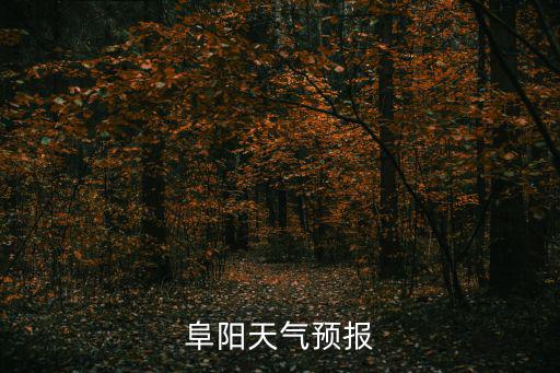 阜陽(yáng)天氣預(yù)報(bào)