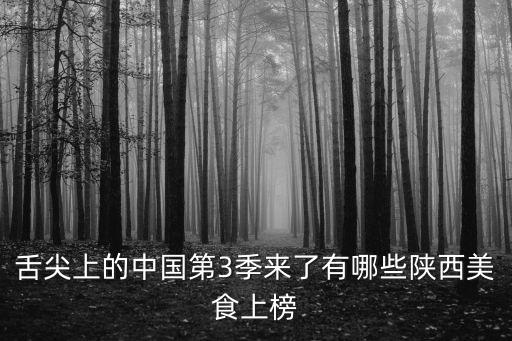 舌尖上的中國第3季來了有哪些陜西美食上榜