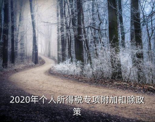 2020年個人所得稅專項附加扣除政策