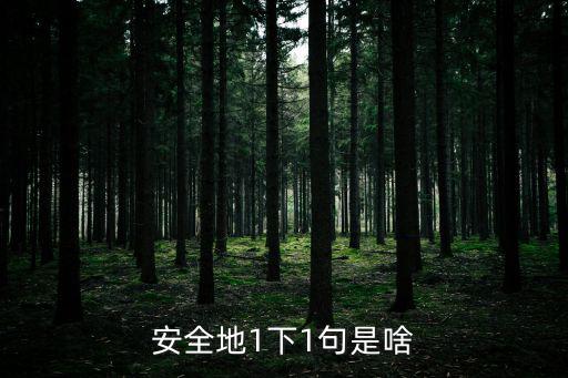 安全地1下1句是啥
