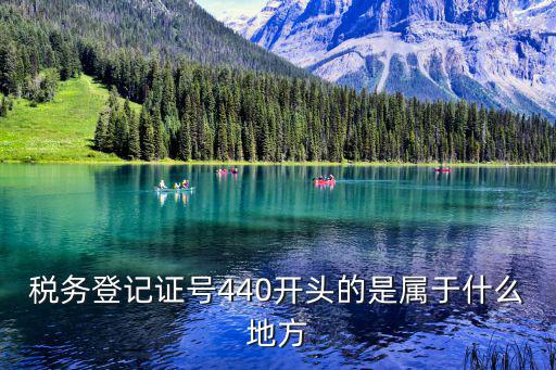 稅務登記證號440開頭的是屬于什么地方