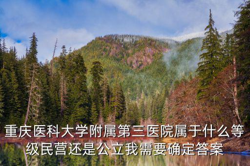 重慶醫科大學附屬第三醫院屬于什么等級民營還是公立我需要確定答案