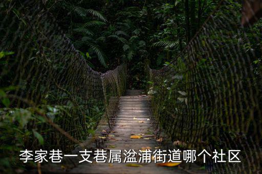 李家巷一支巷屬湓浦街道哪個社區(qū)