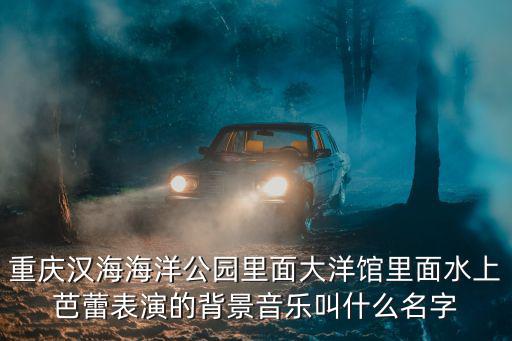 漢海海洋公園，武漢海洋公園