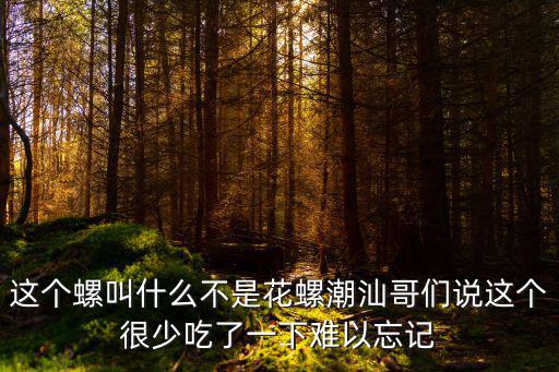 這個螺叫什么不是花螺潮汕哥們說這個很少吃了一下難以忘記