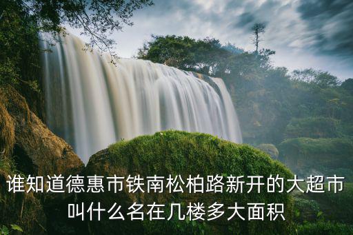 誰知道德惠市鐵南松柏路新開的大超市叫什么名在幾樓多大面積