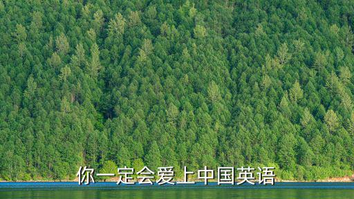愛上中國，尋找換心臟的電視劇然后男主角愛上女主角中國的劇
