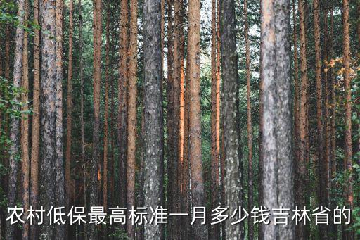 農村低保最高標準一月多少錢吉林省的