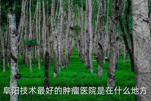阜陽技術最好的腫瘤醫院是在什么地方