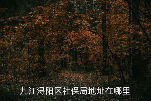 九江潯陽(yáng)區(qū)社保局地址在哪里