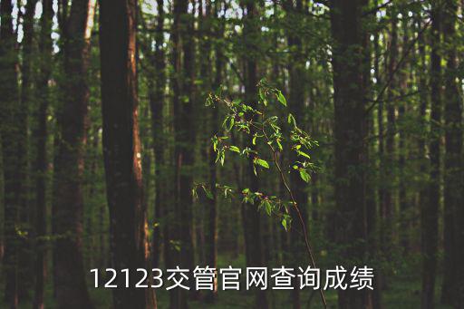 12123交管官網(wǎng)查詢成績(jī)