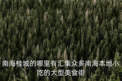 南海桂城的哪里有匯集眾多南海本地小吃的大型美食街