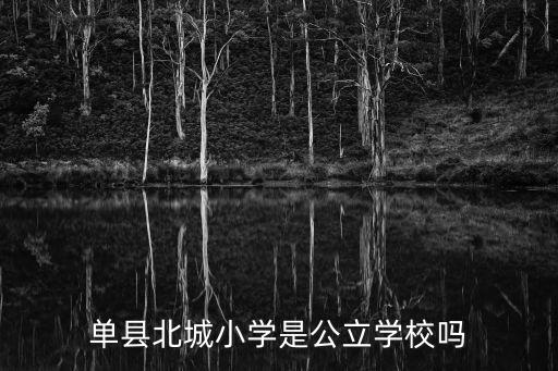 北城小學，番禺 北城小學和南陽里小學 哪里好