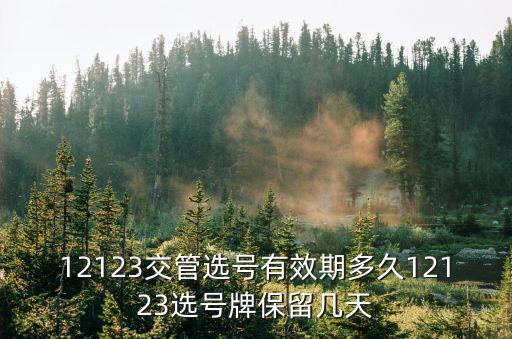 12123交管網，12123什么網站啊