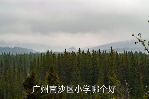 南沙小學，廣州南沙區小學哪個好