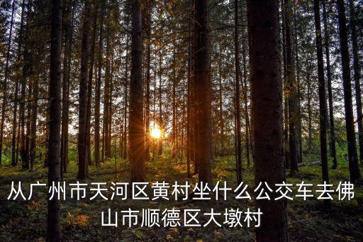從廣州市天河區(qū)黃村坐什么公交車去佛山市順德區(qū)大墩村