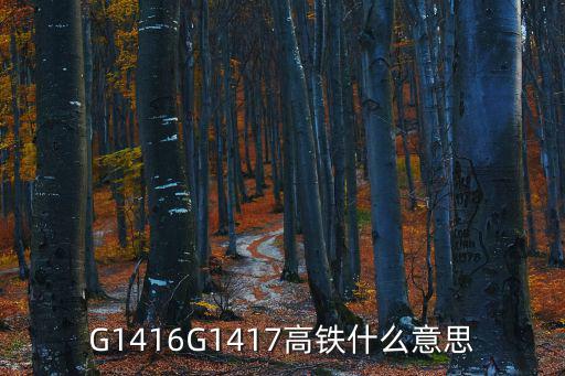 G1416G1417高鐵什么意思