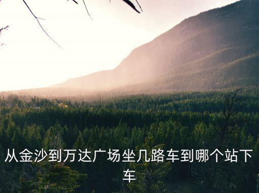 從金沙到萬達廣場坐幾路車到哪個站下車