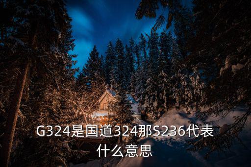 G324是國道324那S236代表什么意思