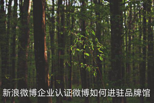 新浪微博企業認證微博如何進駐品牌館
