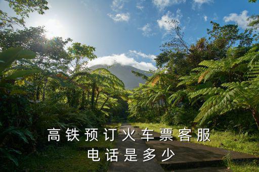 高 鐵 預(yù) 訂 火 車(chē) 票 客 服 電 話 是 多 少