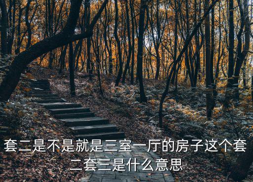 套二，套二廳 套三廳是什么意思
