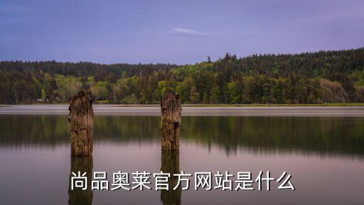尚品奧萊官方網站是什么