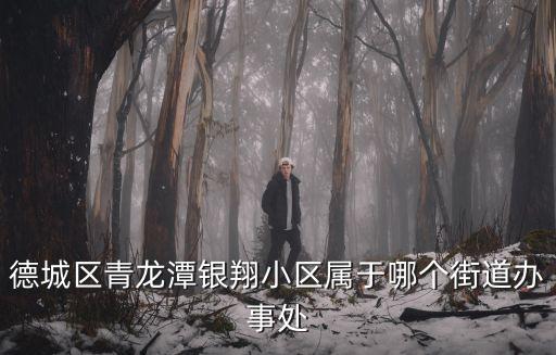 德城區青龍潭銀翔小區屬于哪個街道辦事處
