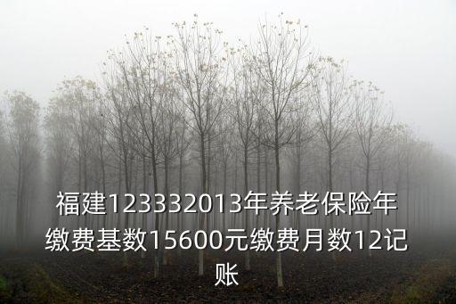 福建123332013年養(yǎng)老保險(xiǎn)年繳費(fèi)基數(shù)15600元繳費(fèi)月數(shù)12記賬
