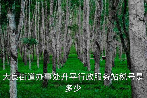大良街道辦事處升平行政服務(wù)站稅號是多少