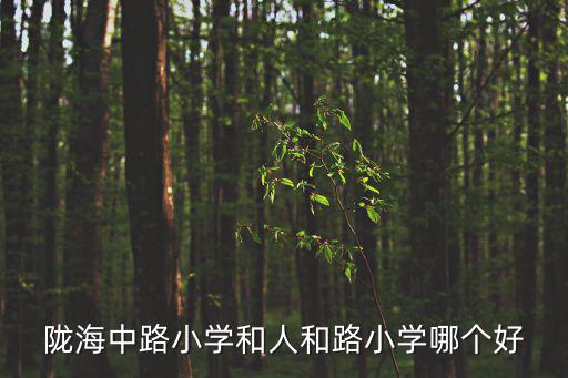 隴海中路小學和人和路小學哪個好