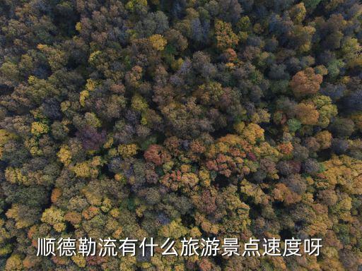 順德勒流有什么旅游景點速度呀
