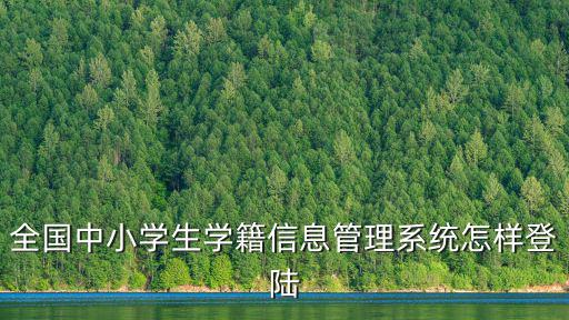 全國中小學生學籍信息管理系統怎樣登陸