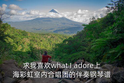 上海彩虹室內合唱團，求我喜歡what I adore上海彩虹室內合唱團的伴奏鋼琴譜