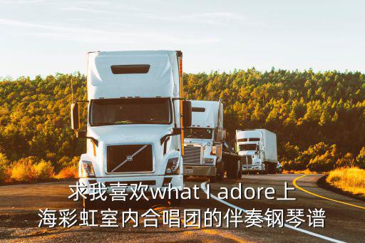 求我喜歡what I adore上海彩虹室內合唱團的伴奏鋼琴譜