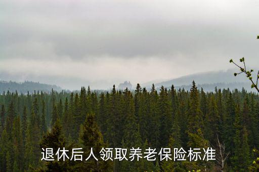 退休后人領取養老保險標準