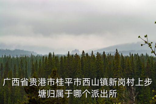 廣西省貴港市桂平市西山鎮新崗村上步塘歸屬于哪個派出所