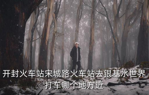 開封火車站宋城路火車站去銀基水世界打車哪個(gè)地方近