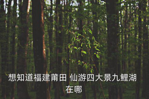 想知道福建莆田 仙游四大景九鯉湖 在哪
