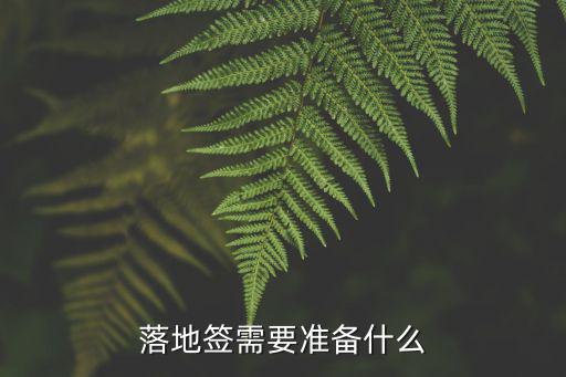 落地簽證怎么辦理，落地簽需要準(zhǔn)備什么